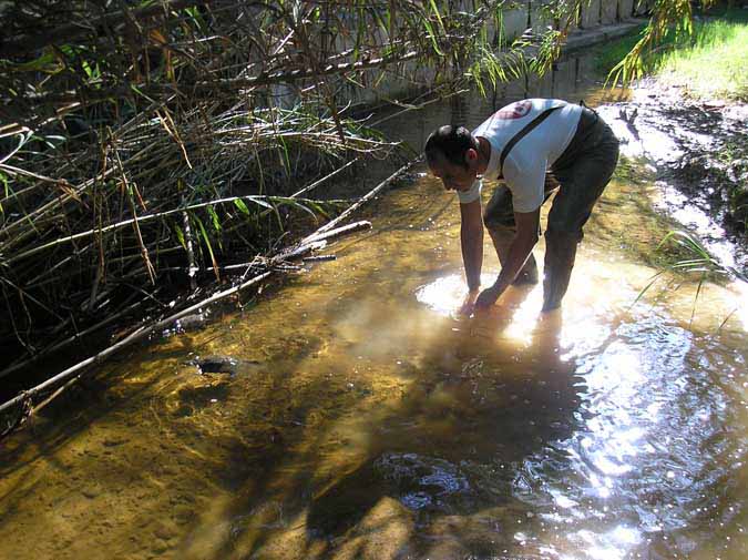 Reintroducción mauremys leprosa en Esparreguera