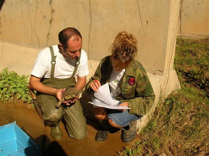 Reintroducción mauremys leprosa en Esparreguera