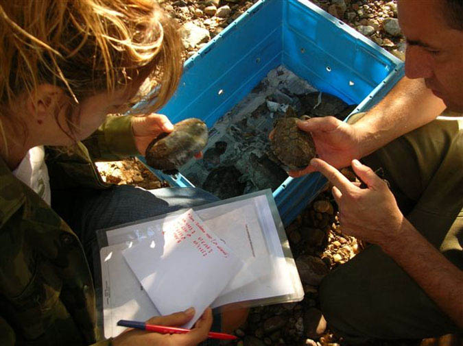 Reintroducción mauremys leprosa en Esparreguera 2