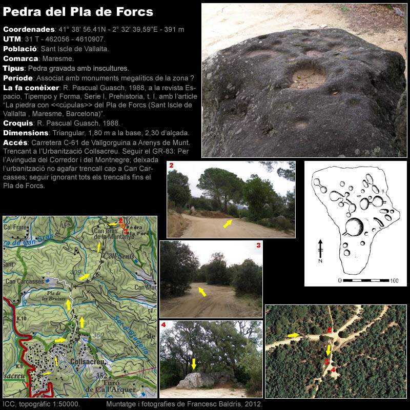 Pedra del Pla de Forcs 1/2