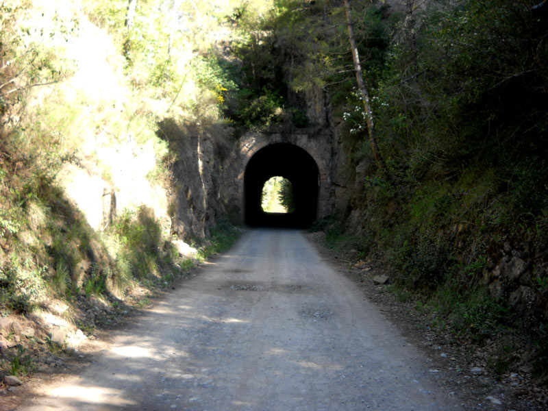 Colonia rosal a Sant Quirze del Pedret 3 de 15