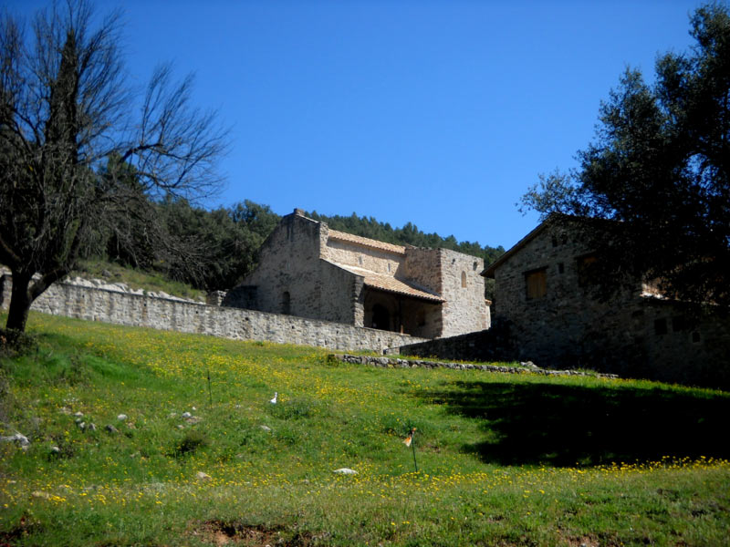 Colonia rosal a Sant Quirze del Pedret 12 de 15