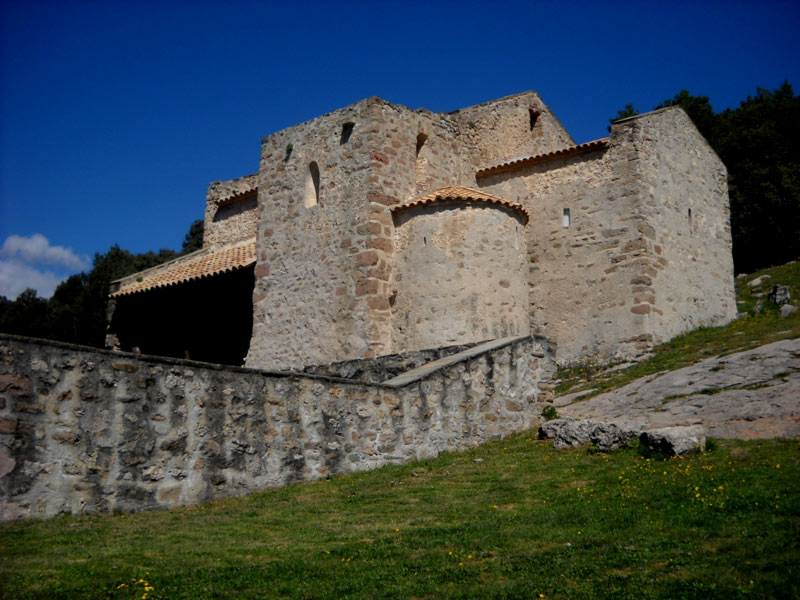 Colonia rosal a Sant Quirze del Pedret 15 de 15