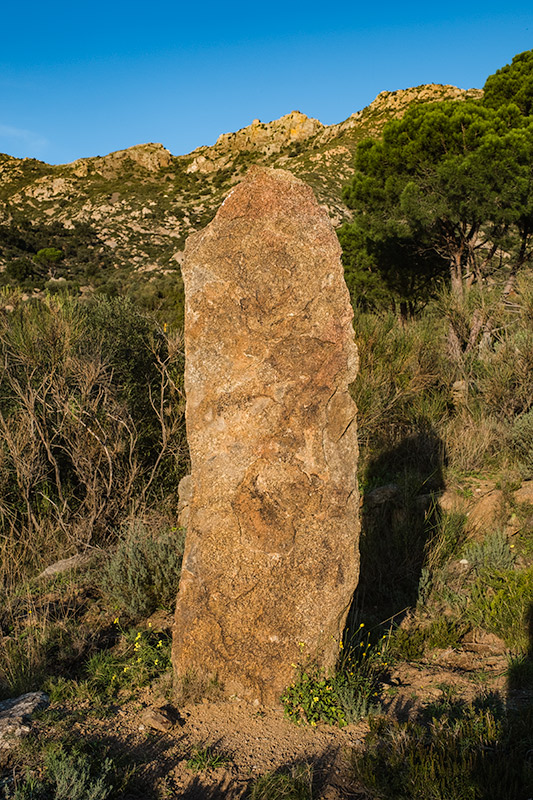 Menhir  d'en Poet