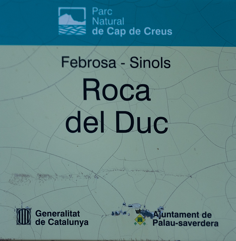 Cartell: Roca del Duc