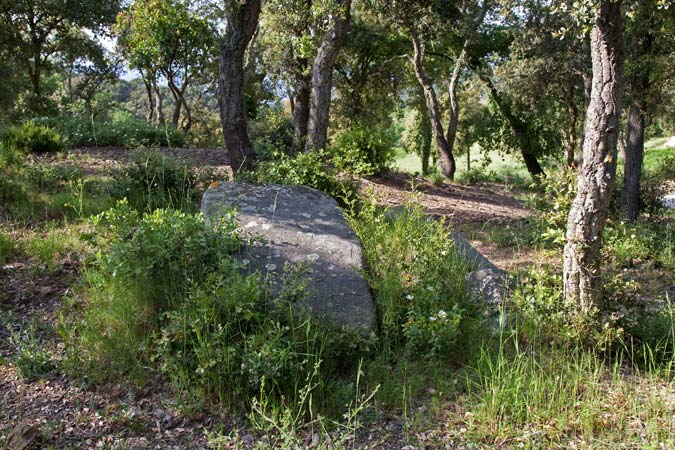 Dolmen Ca l' Arenes II 1de3