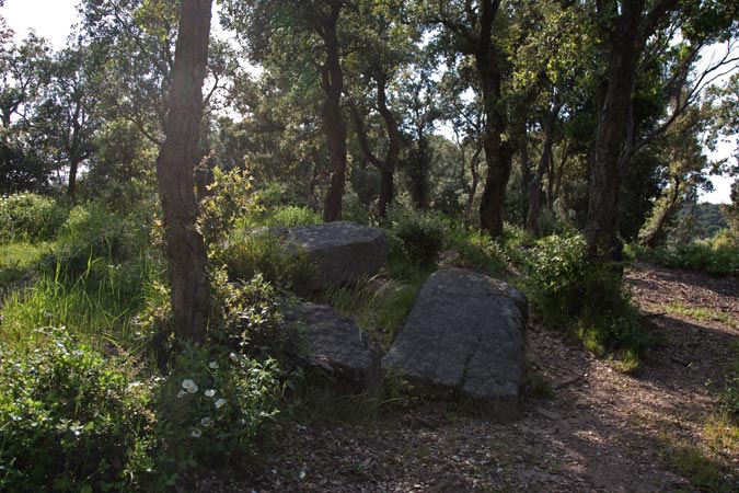 Dolmen Ca l' Arenes II 2de3