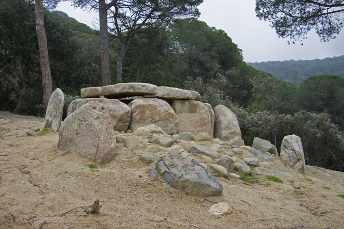 Dolmen Ca l'Arenes 7de7