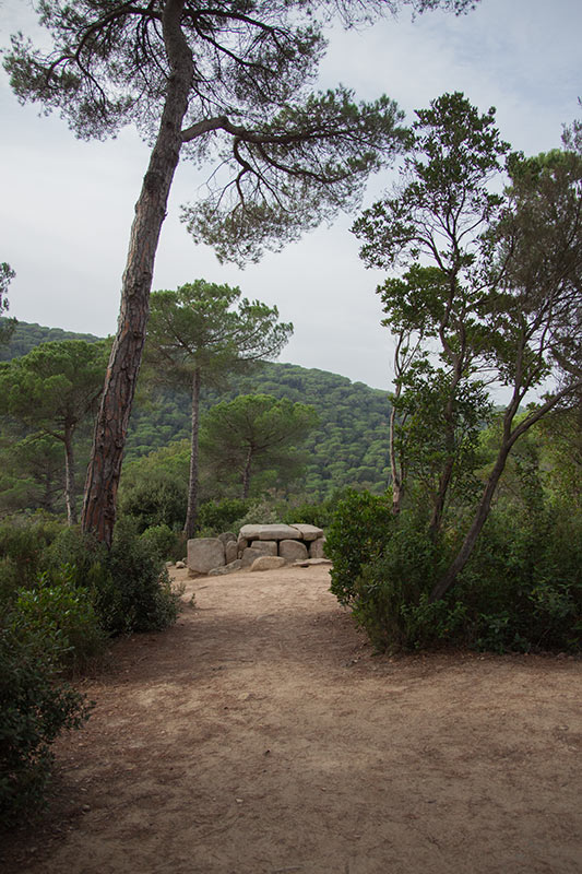 Dolmen de Ca l'Arenes 7de7