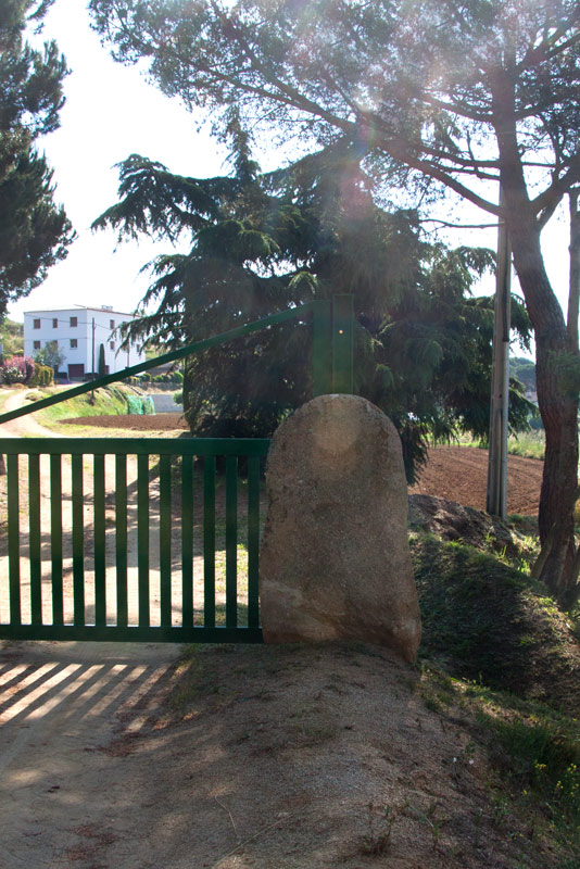Menhir d'els Olivers.Possible