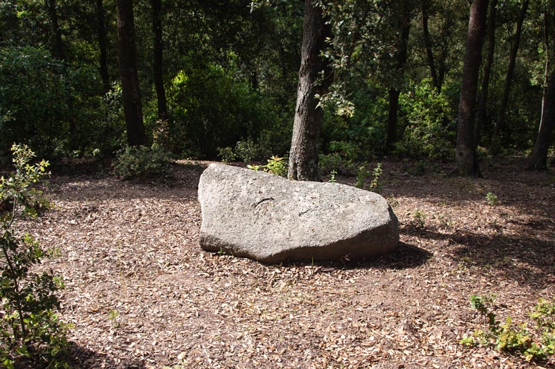 Menhir de la Pedra Llarga