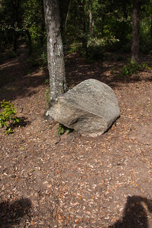 Menhir de la Pedra Llarga