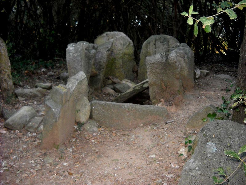 Dolmen Can Gurri.( Alella -Park. )