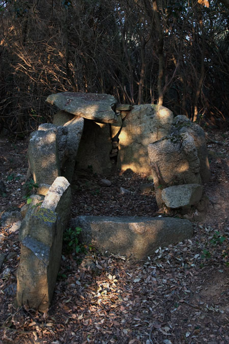 Dolmen de can Gurri 4de4