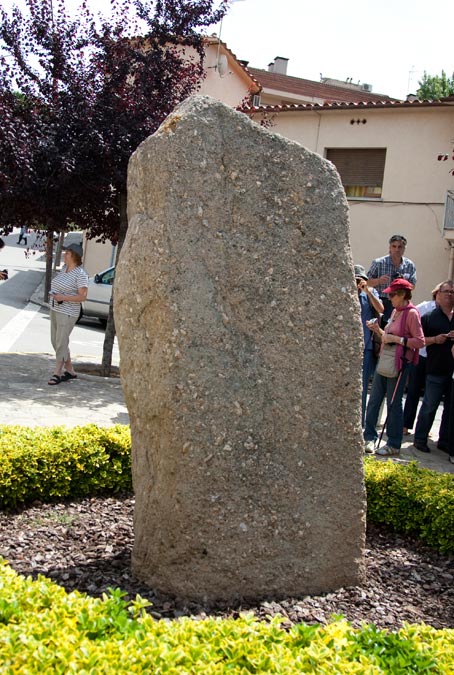 Pedra Llarga ( Palau-Solità i Plegamans )