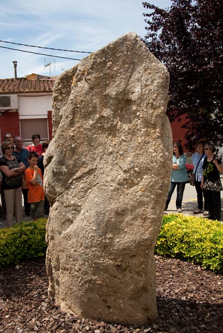 Pedra Llarga ( Palau-Solità i Plegamans )