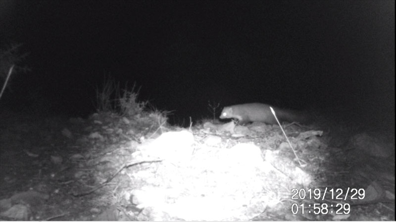 Fotoparany al Montsec: Fagina de nit