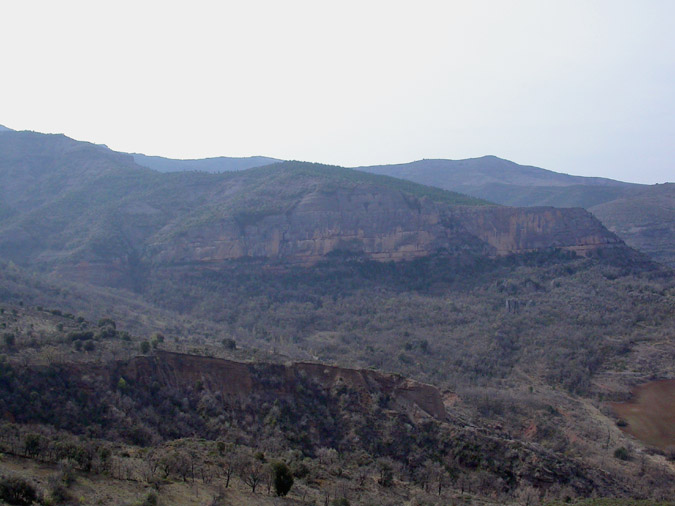 Paret de Turmeda