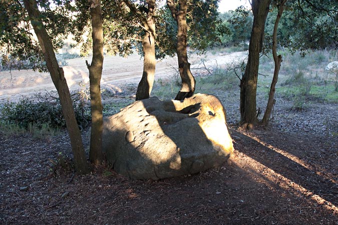 Can Boquet.Pedra amb inscultures 2de3