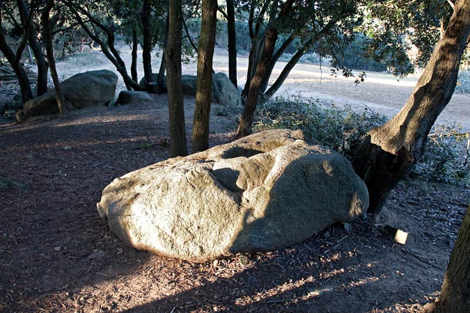 Can Boquet.Pedra amb inscultures 1de3