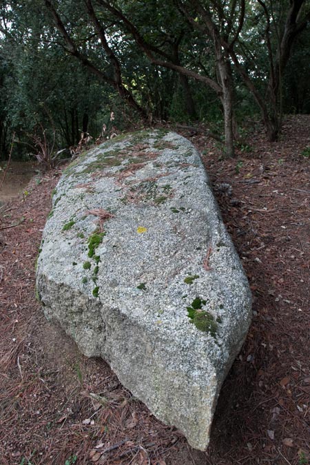 Menhir La Pedra del diable