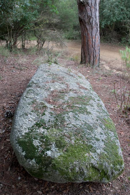 Menhir La Pedra del diable