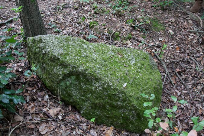 Menhir La Pedra del diable