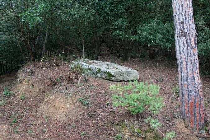 Menhir La Pedra del diable