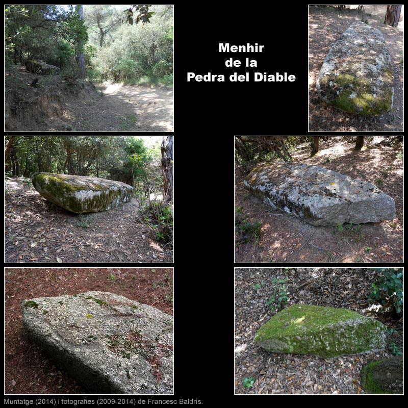 Menhir de la Pedra del Diable 2/2