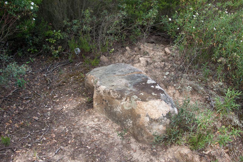 Menhir Mañé