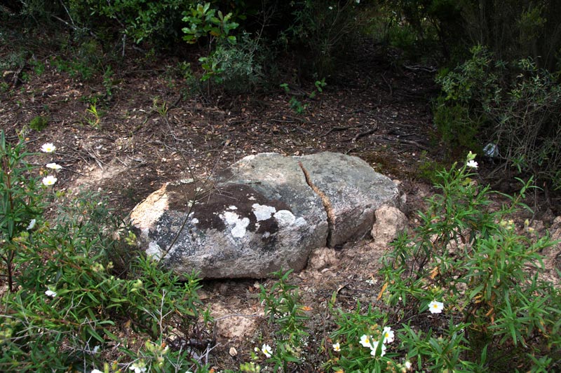 Menhir Mañé