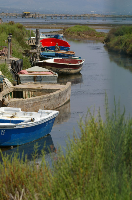 Imágenes del "delta del Ebro"