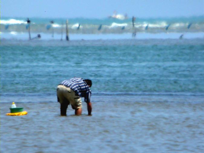 Mariscadors al Goleró