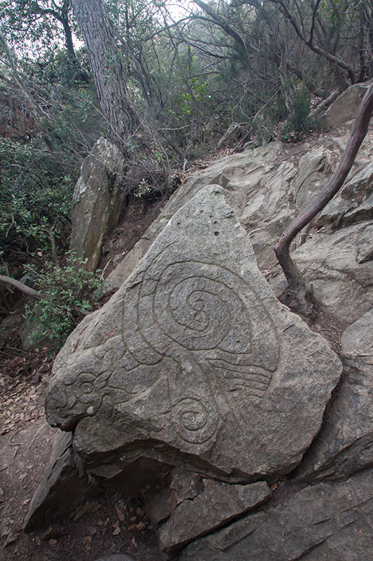 Gravats del Montpedrós