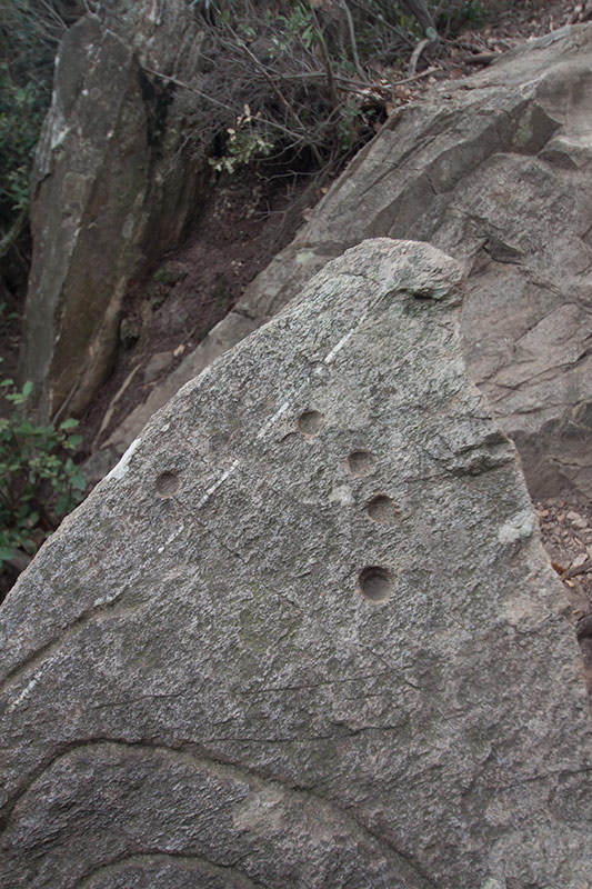 Gravats del Montpedrós