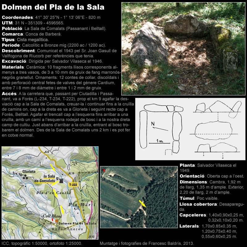 Dolmen del Pla de la Sala 1/2