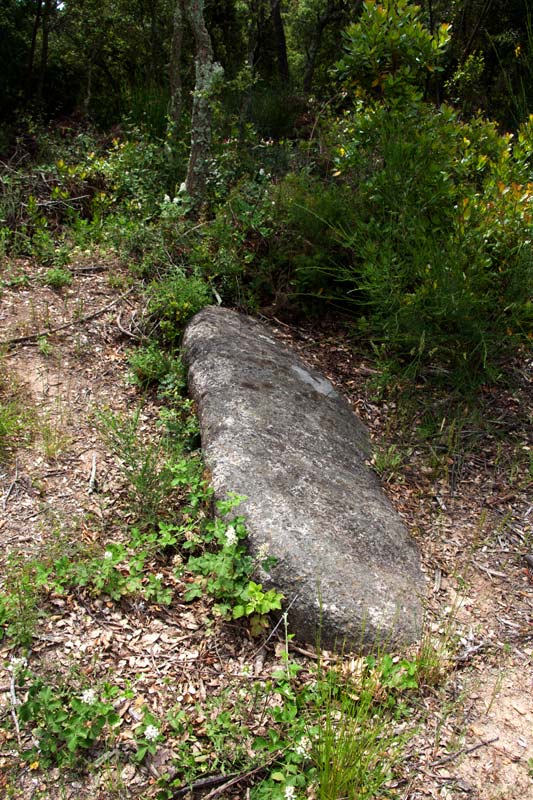 Menhir del Pla de les Bruixes