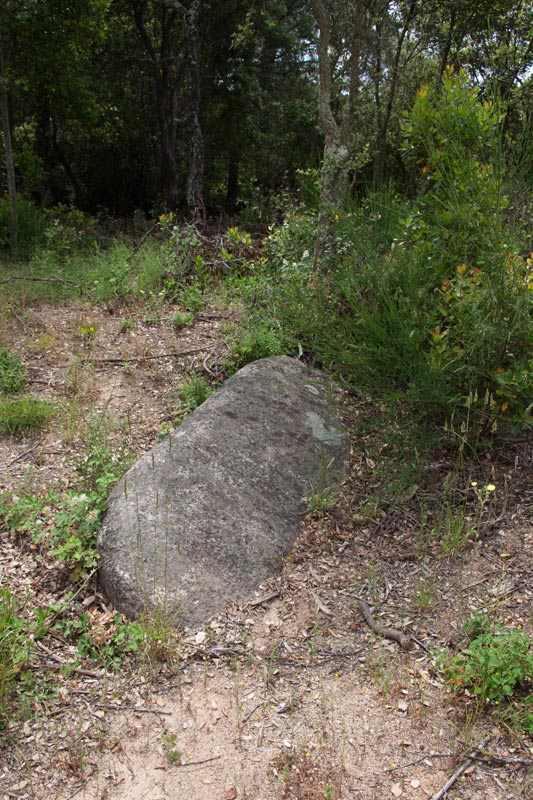 Menhir del Pla de les Bruixes