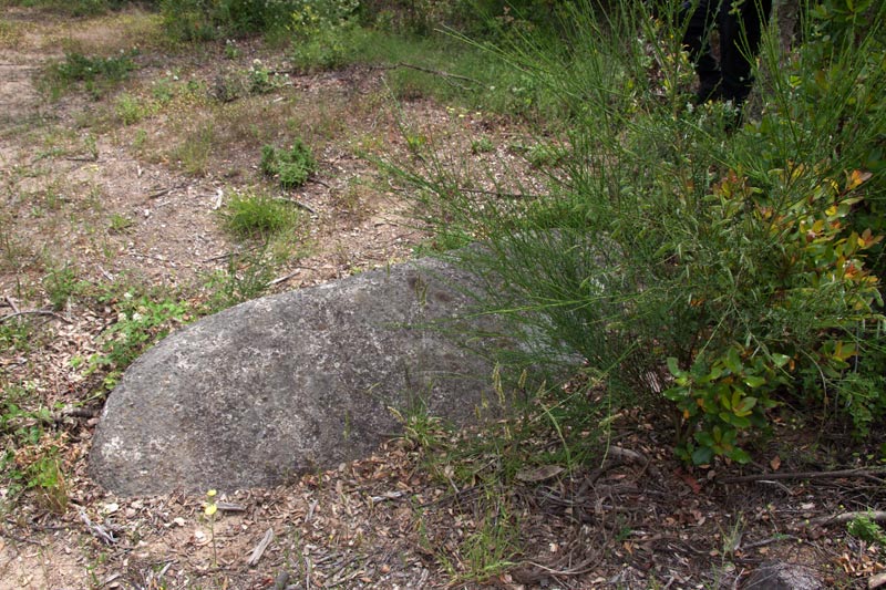 Menhir del Pla de les Bruixes