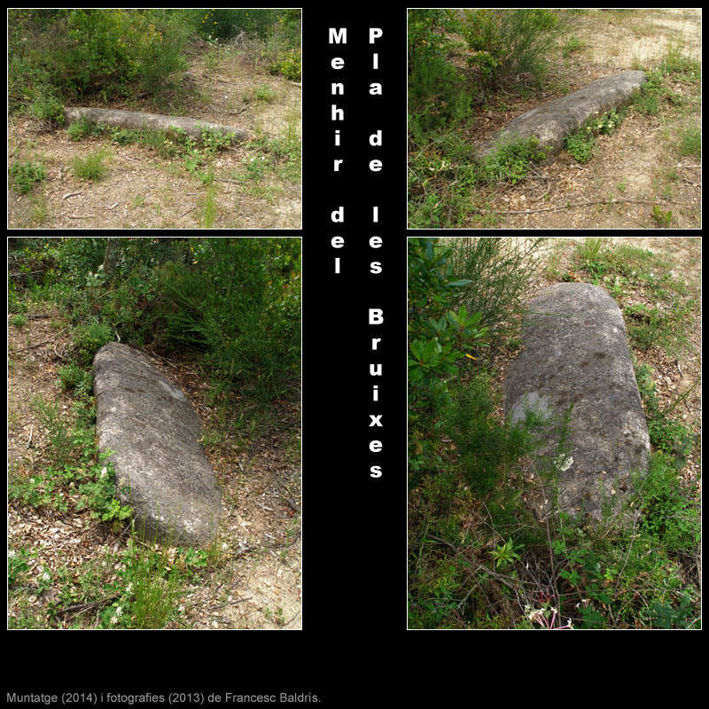 Menhir del Pla de les Bruixes 2/2