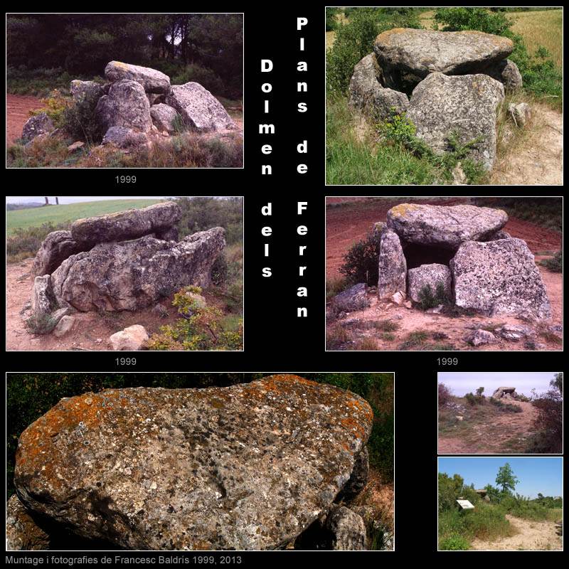 Dolmen dels Plans de Ferran 2/2