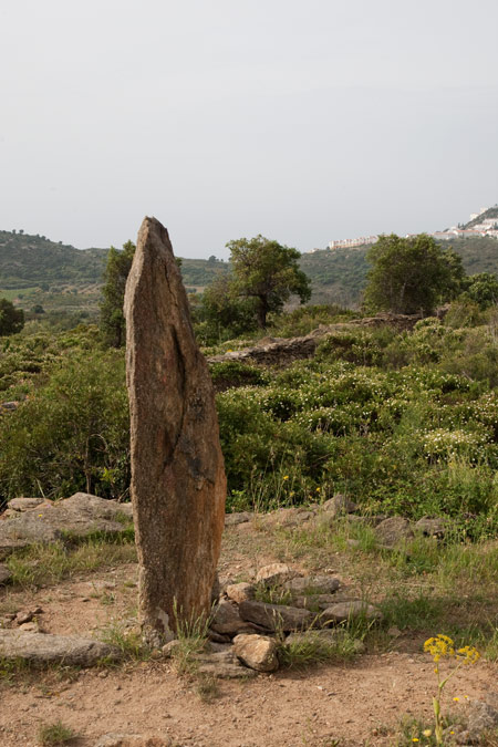 Menhir o Pedra Dreta de la Casa Cremada II 4de4