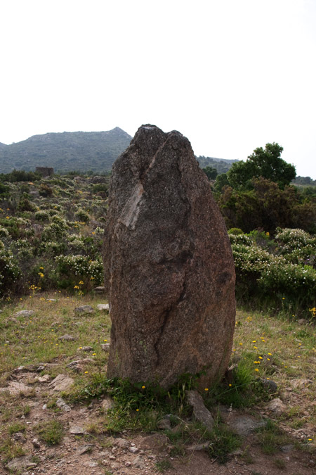 Menhir Casa Cremada I 2de4