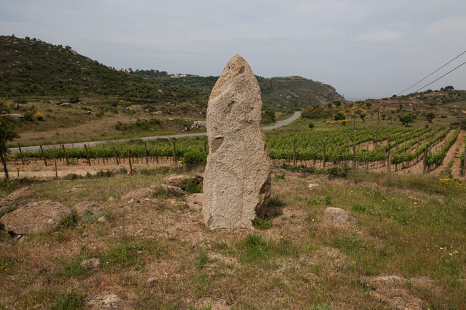 Menhir o pedra dreta del Mas Mares I 2de3