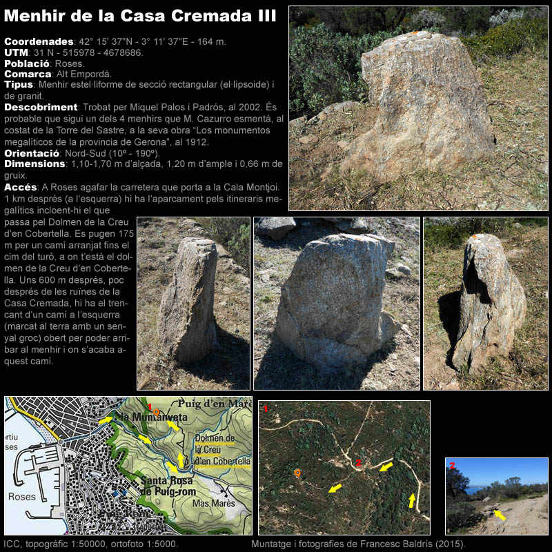 Menhir de la Casa Cremada III