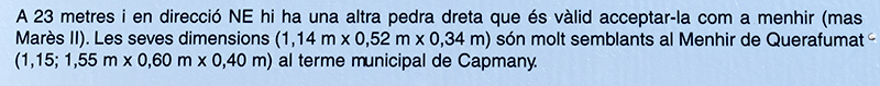 Menhir o pedra dreta del Mas Mares II