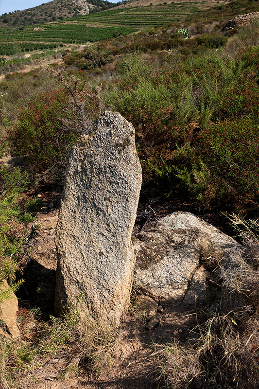 Menhir o pedra dreta del Mas Mares II