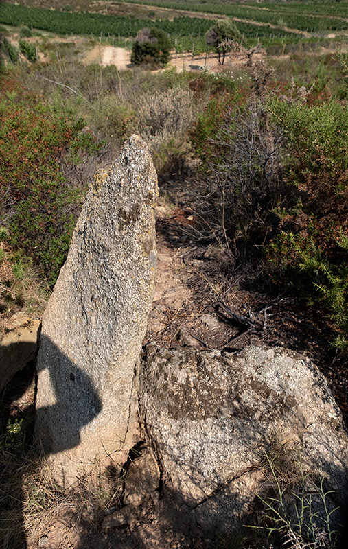 Menhir o pedra dreta del Mas Mares II