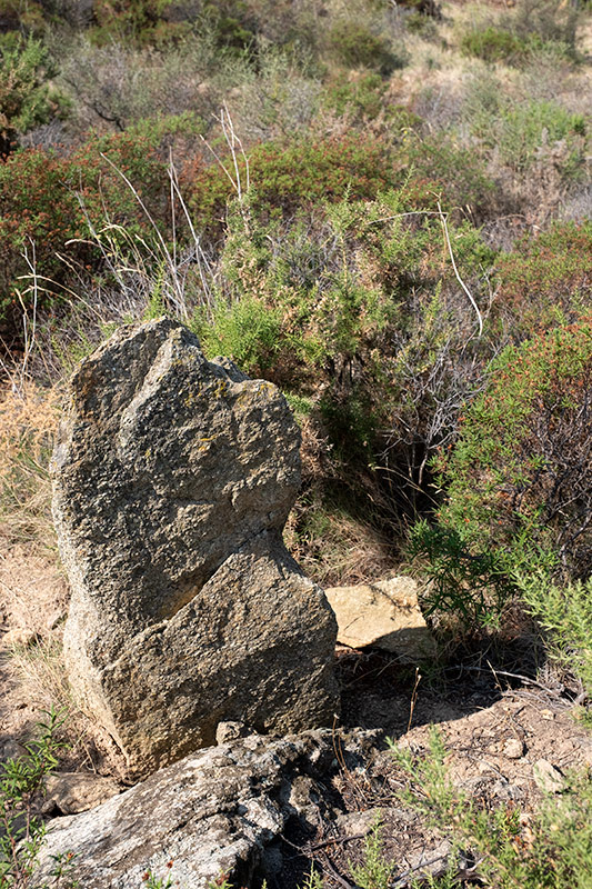 Menhir o pedra dreta del Mas Mares II