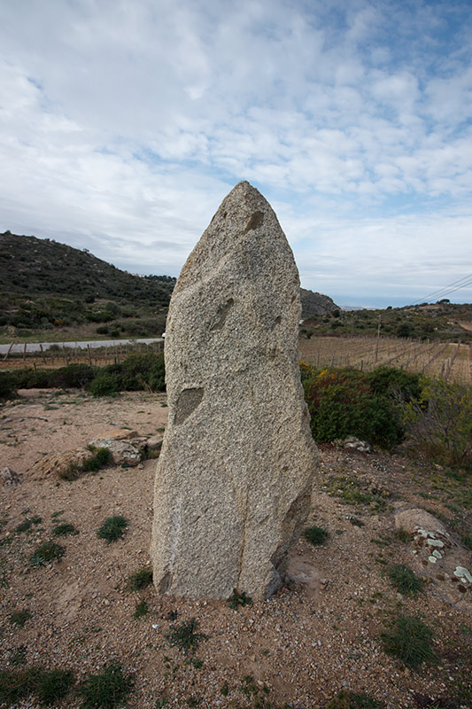 Menhir o pedra dreta del Mas Mares I